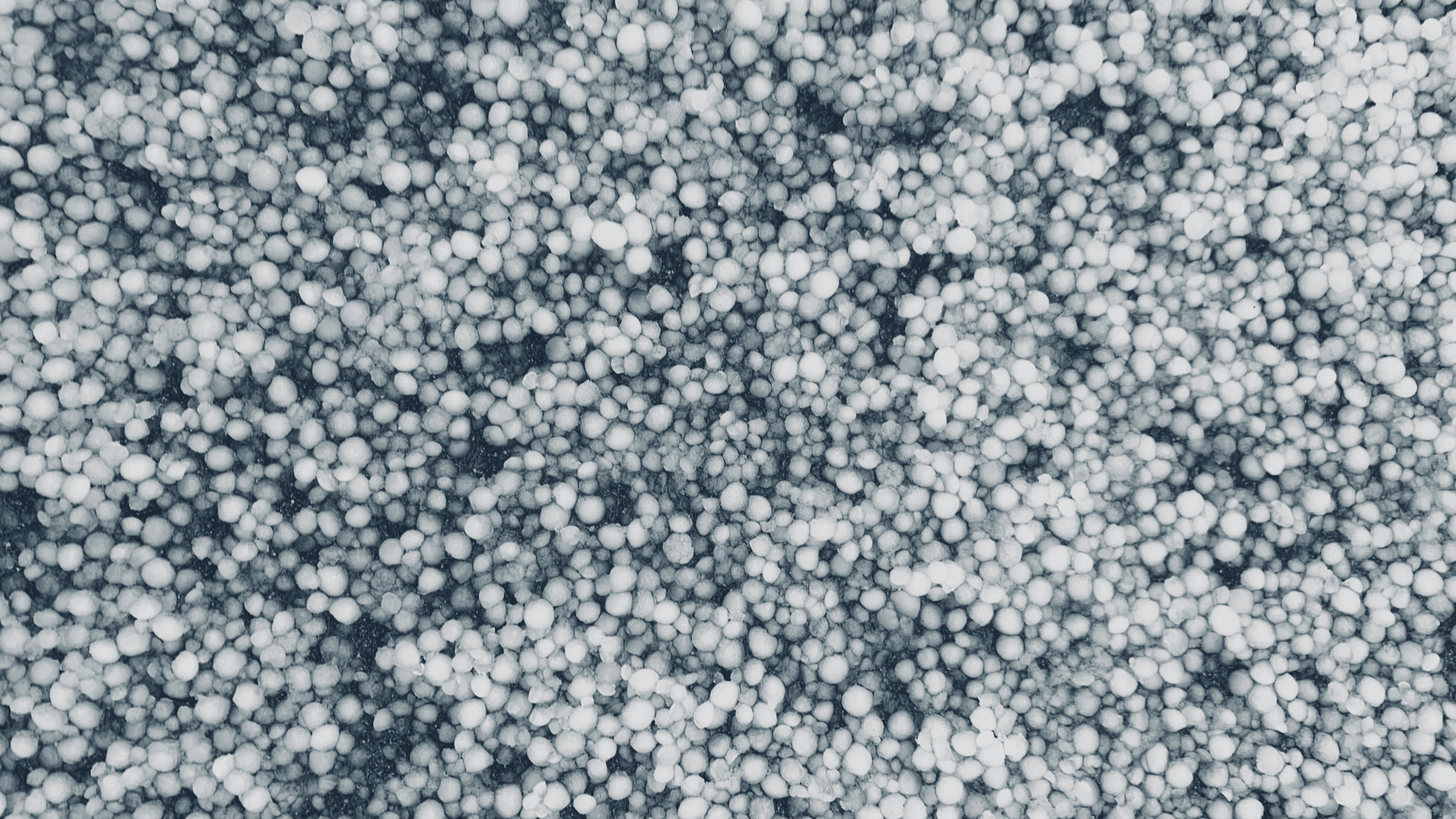 Uno spesso strato di grandine